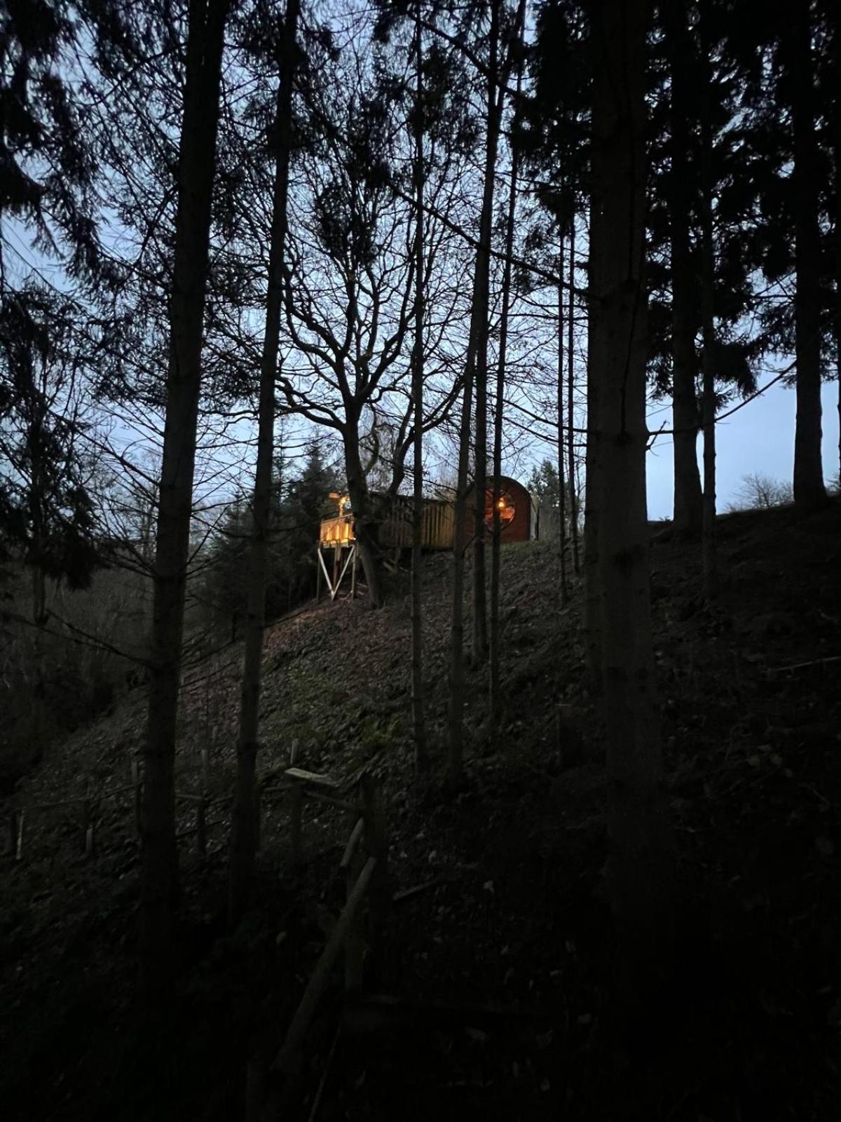 The Pines Treehouse At Treetops Hideouts Richmond  Zewnętrze zdjęcie
