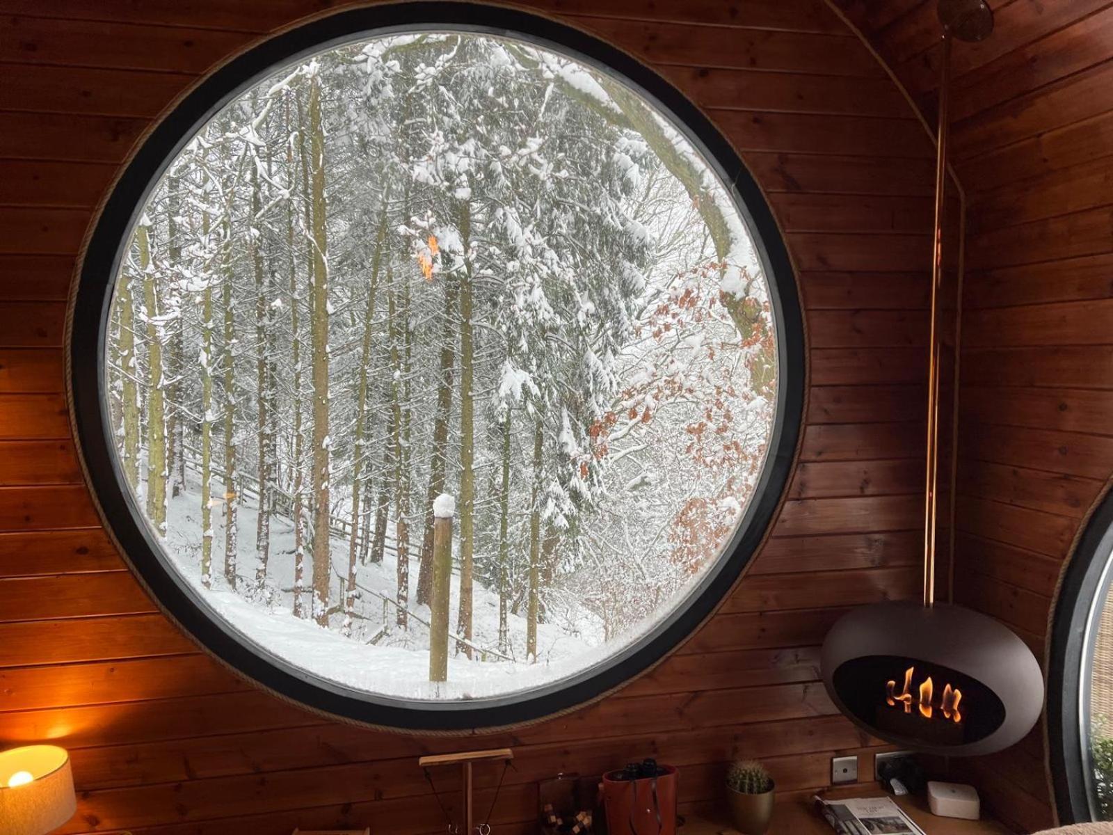 The Pines Treehouse At Treetops Hideouts Richmond  Zewnętrze zdjęcie